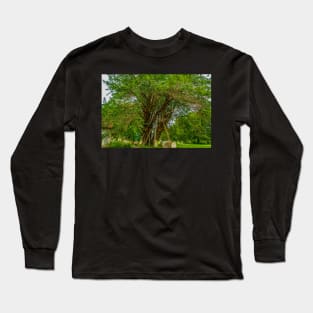 Ancient Yew Tree, Wilington Churchyard, East Sussex Long Sleeve T-Shirt